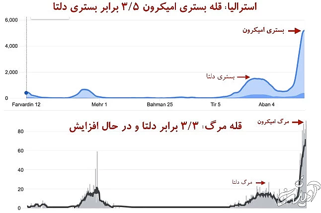 این جدول‌ها را ببینید: مرگ‌ در اثر امیکرون بیشتر از مرگ به خاطر دلتا